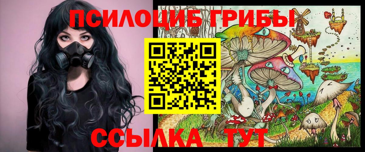 Фрязино  Галлюциногенные грибы Cubensis  Вход с VPN  Галлюциногенные грибы GOLDEN TEACHER 